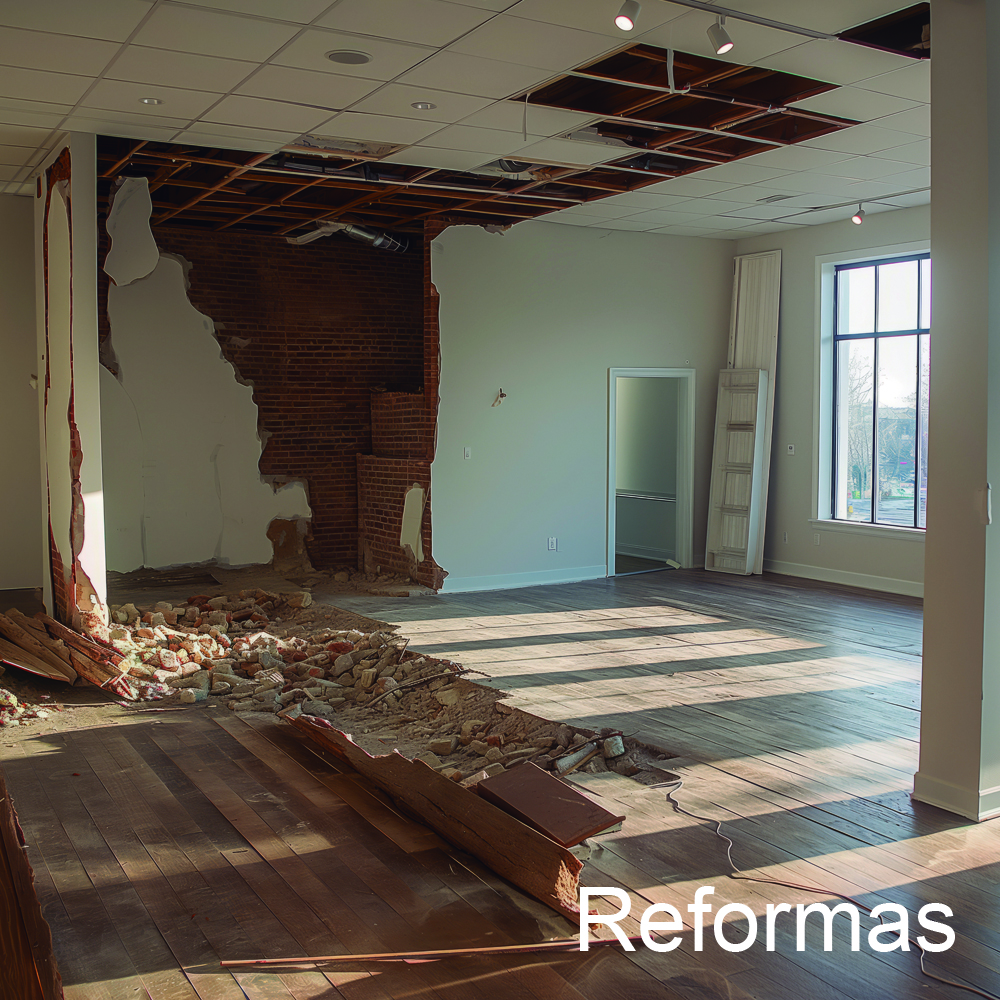 reformas